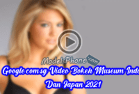 Google.com.sg Video Bokeh Museum Indo Dan Japan 2021