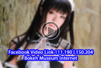 Facebook Video Link 111.190 l.150.204 Bokeh Museum Internet